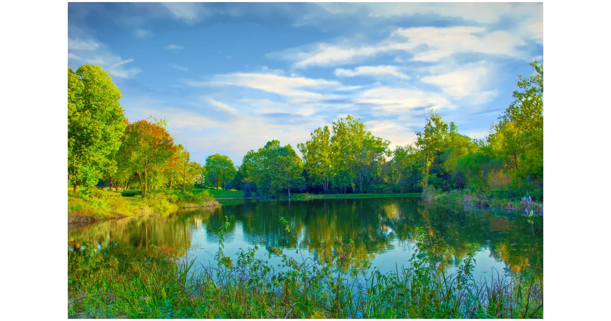 West Indianapolis - General - Sale of Practice — West Indianapolis, IN
