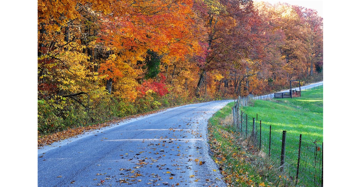 Southern Indiana - General - Sale of Practice — Southern Indiana, IN