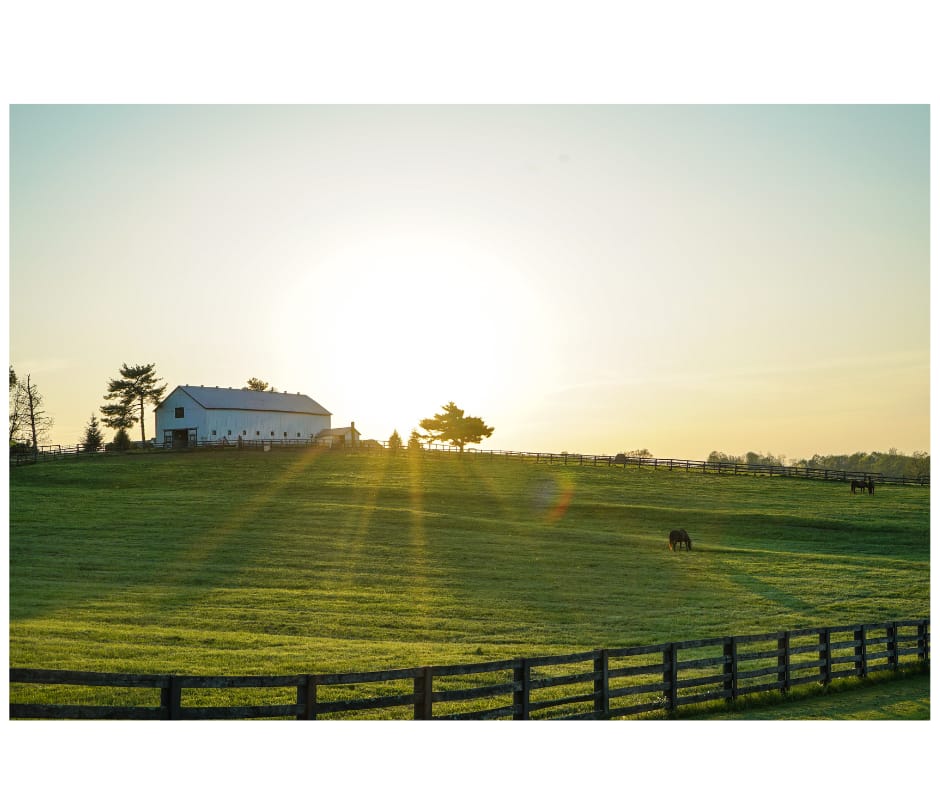 Western Kentucky - Oral Surgery - Sale of Practice — Western Kentucky, KY