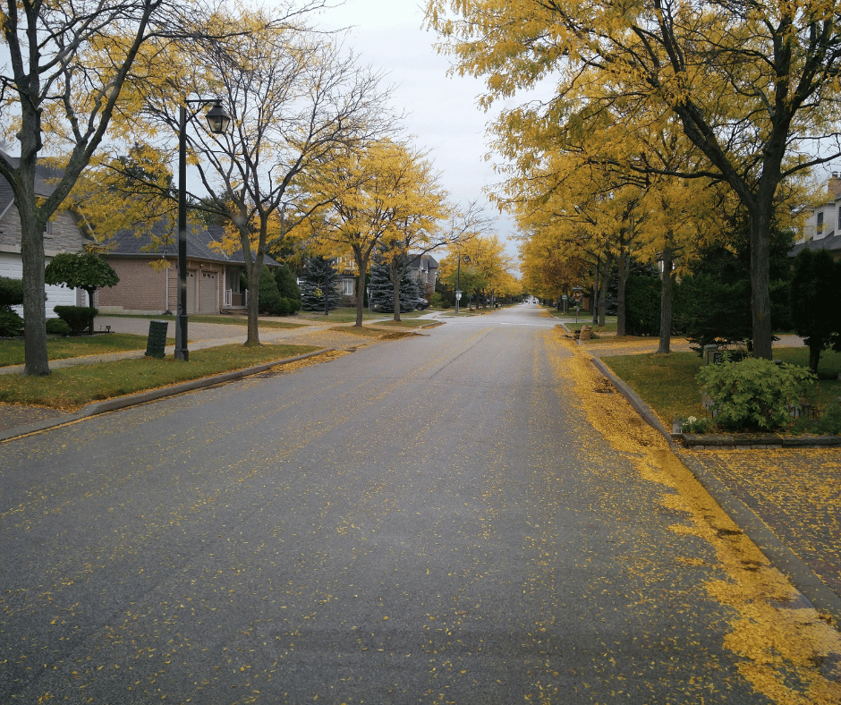 South suburb - Chicago - General - Sale of Practice — South suburb - Chicago, IL