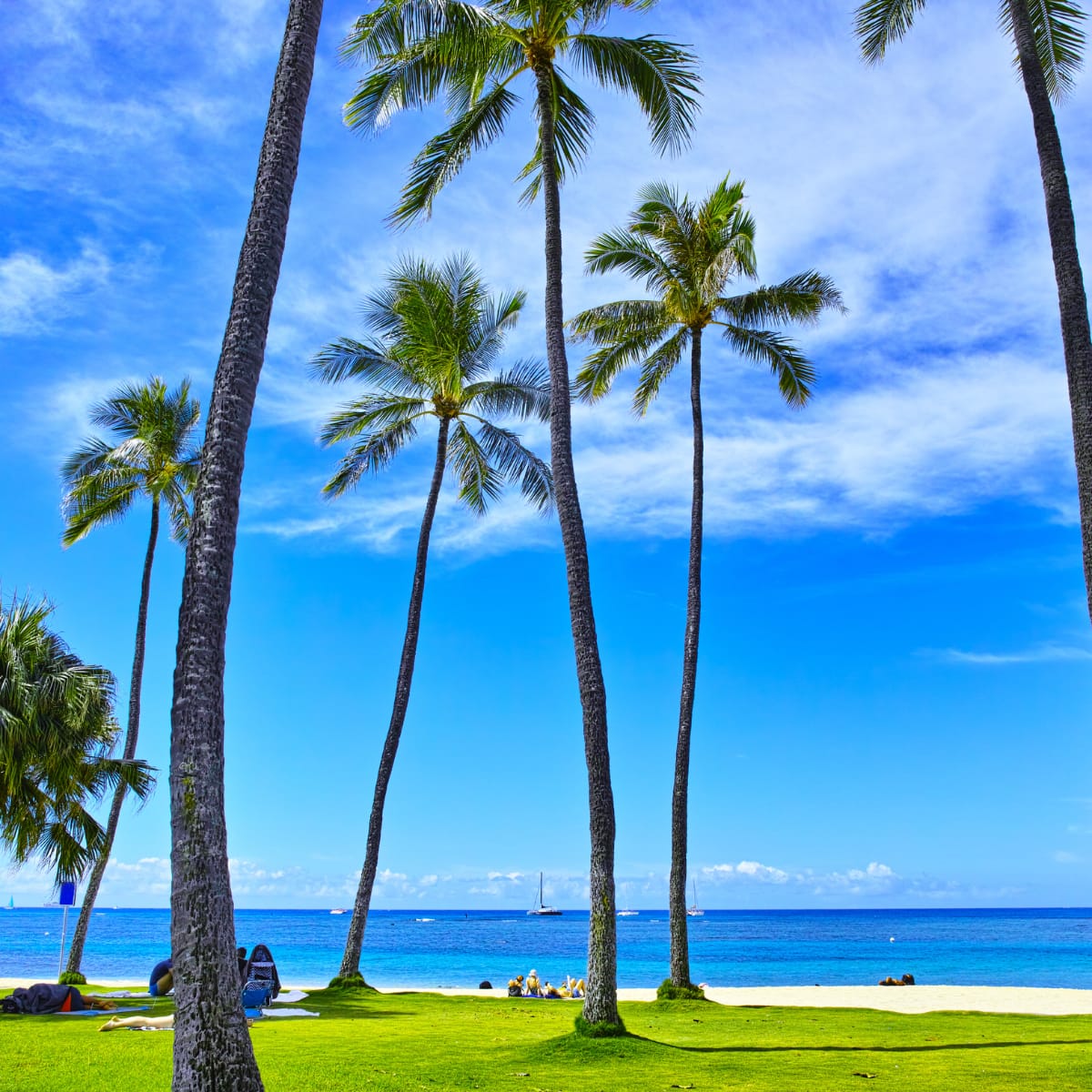 O'ahu, Honolulu Region - General - Sale of Practice — O'ahu, Honolulu Region, HI