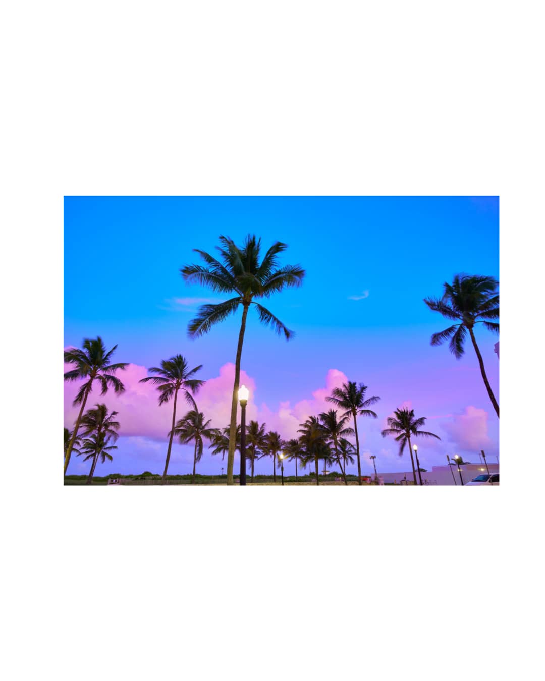 South Miami/Coral Gables - General - Sale of Practice, New practice Start-Up — South Miami/Coral Gables, FL