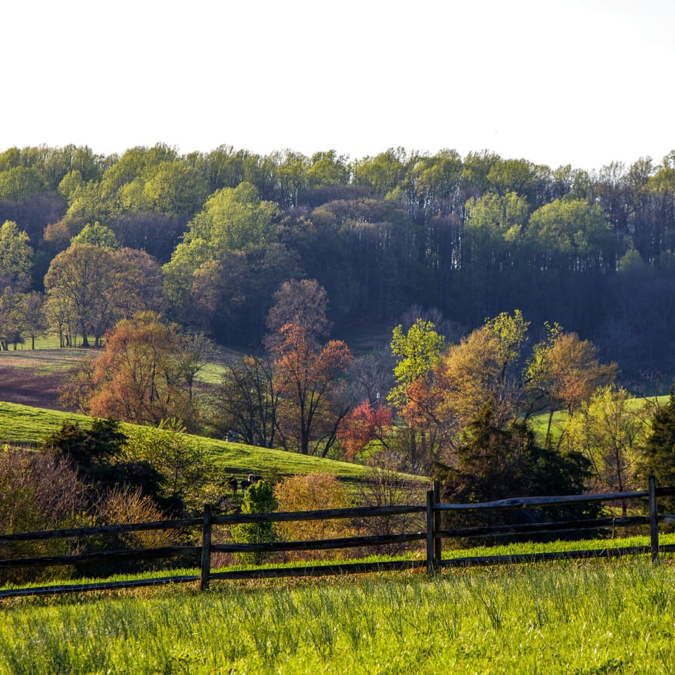 Russell County, Virginia - General - Associateship — Russell County, Virginia, VA