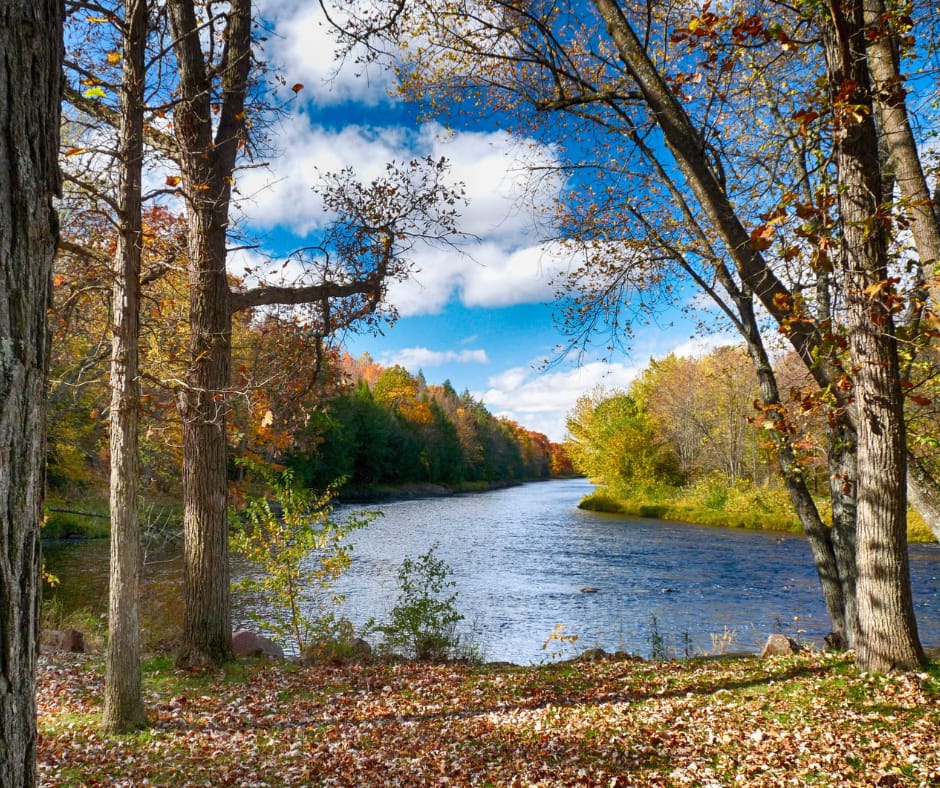 Wisconsin Rapids, Wisconsin - General - Associateship — Wisconsin Rapids, Wisconsin, WI