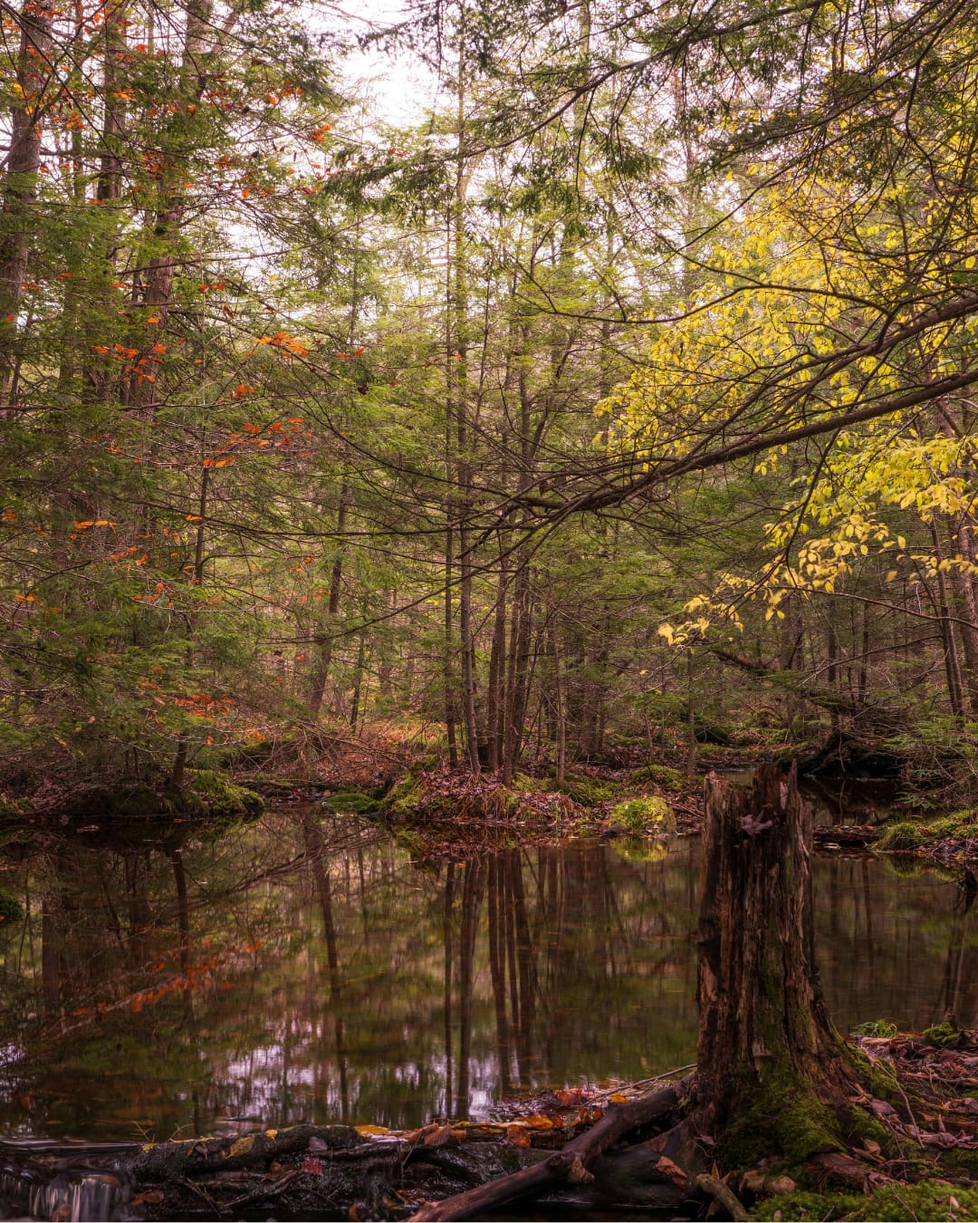 Adams County, PA - General - Sale of Practice — Adams County, PA, PA