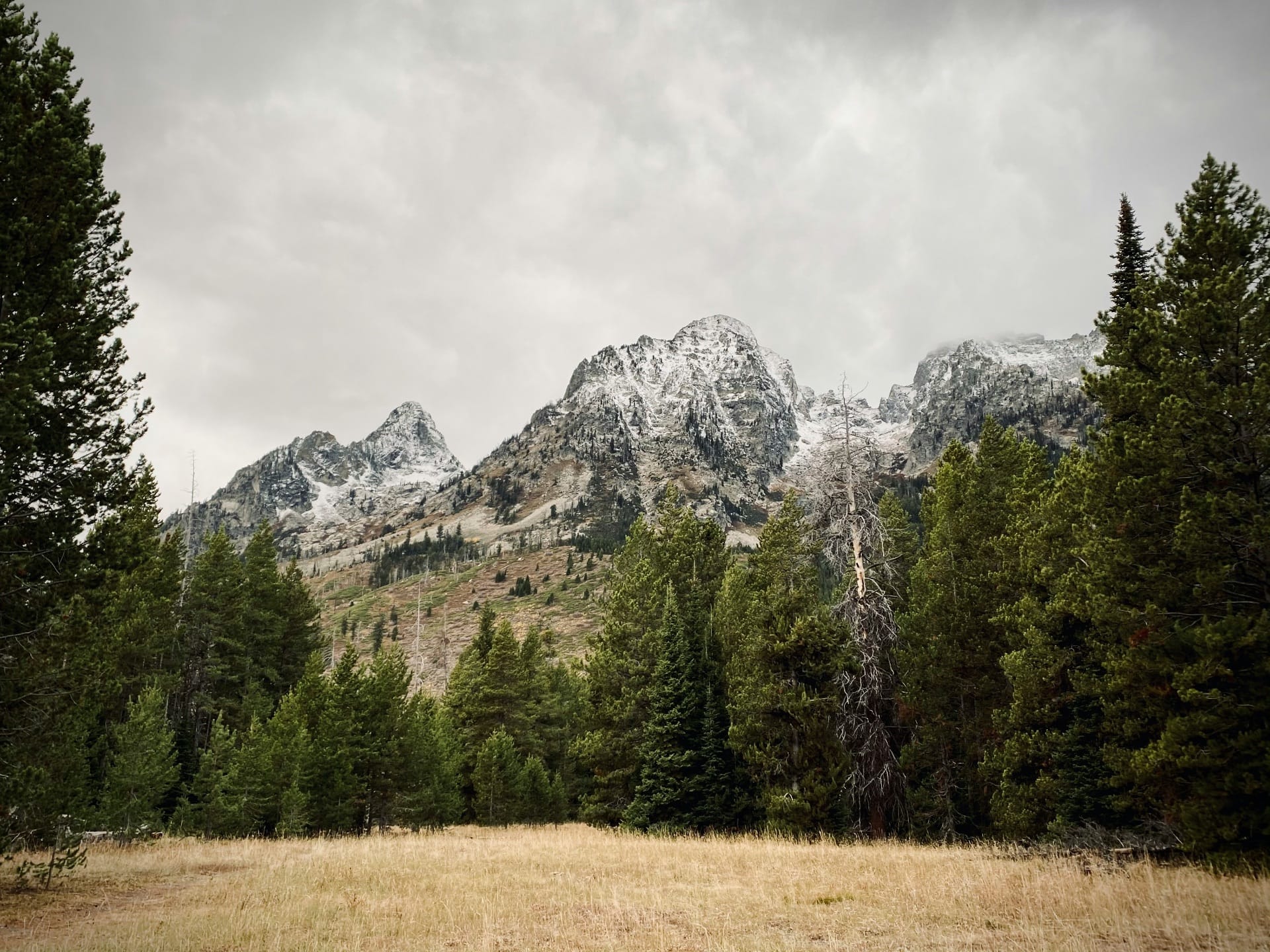 Colorado Mountains - General - Sale of Practice, Partnership, Associateship, New practice Start-Up — Colorado Mountains, CO