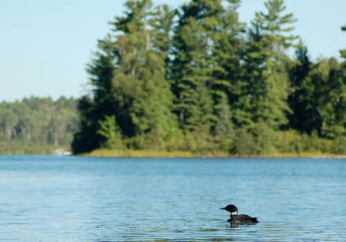 Northwestern Minnesota - General - Associateship — Northwestern Minnesota, MN