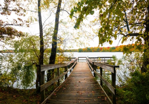 Southwest Metro, Minnesota - General - Sale of Practice — Southwest Metro, Minnesota, MN