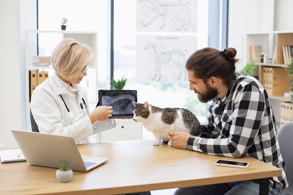 Preparing Your Veterinary Practice for Sale: Why Timing and Planning Matter