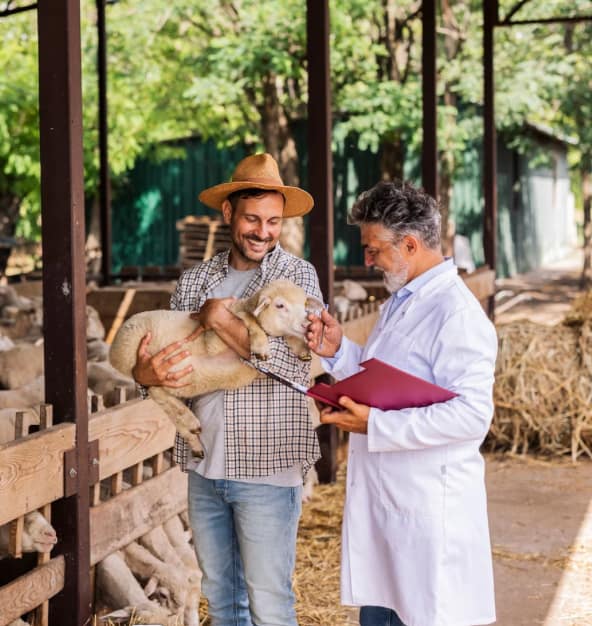 independent veterinary practice ownership