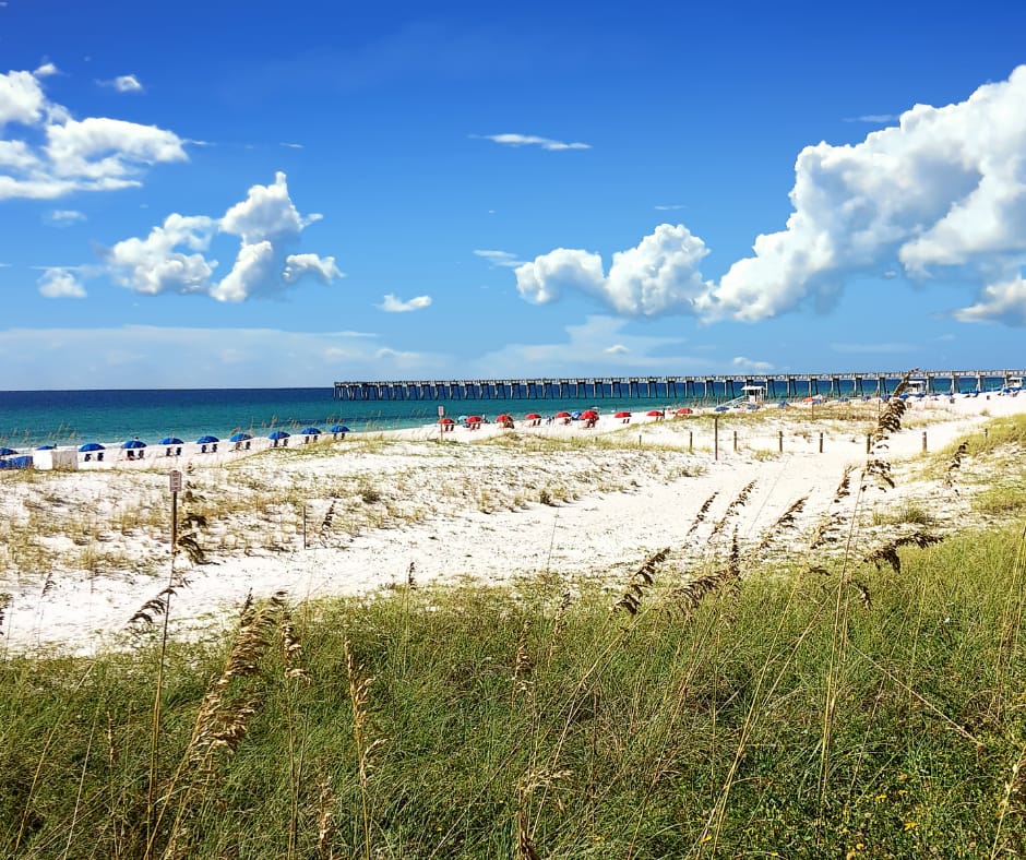 Listing image: General Dentist Associateship in Pensacola, FL (#683460) (ref #683460)
