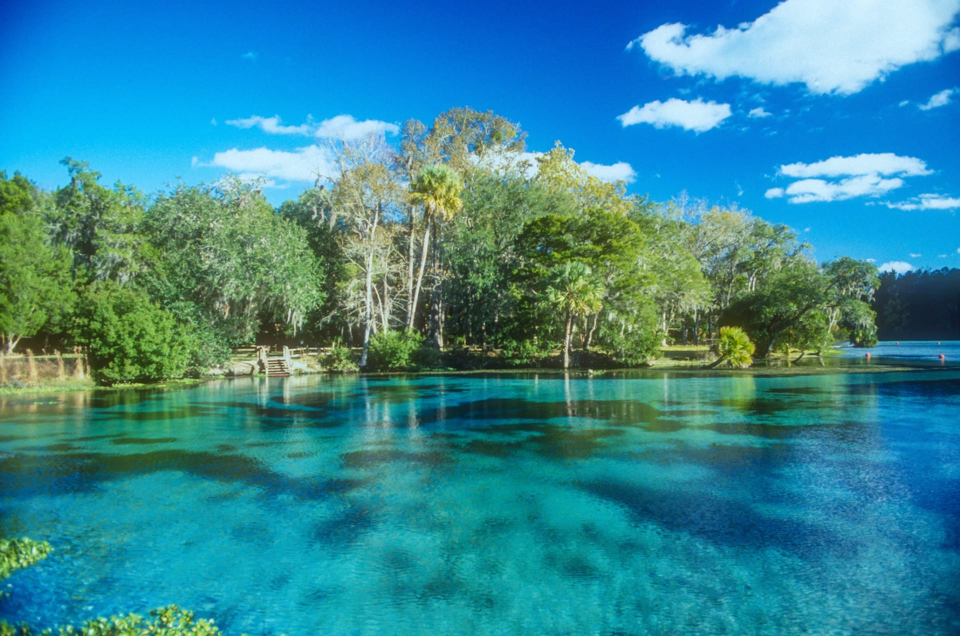 Crystal River, FL - General - Sale of Practice — Crystal River, FL, FL